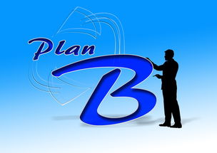 开云体育下载-中国篮球职业俱乐部财务风险控制研究，篮球俱乐部企业组织结构图