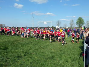 开云ios-青少年体育社团活动对身心发展的促进作用，体育社团对学生的影响